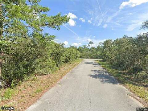 Fisher Place Dr, Ocklawaha, FL 32179