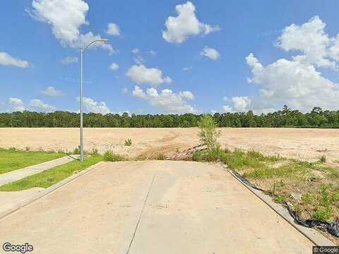 Blooming Meadow Ln, Houston, TX 77016