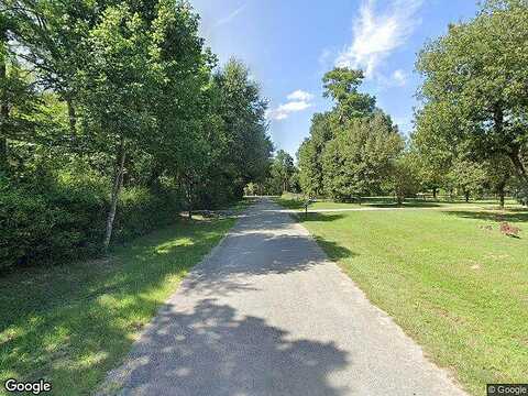 Tulip Willow Way, Hockley, TX 77447