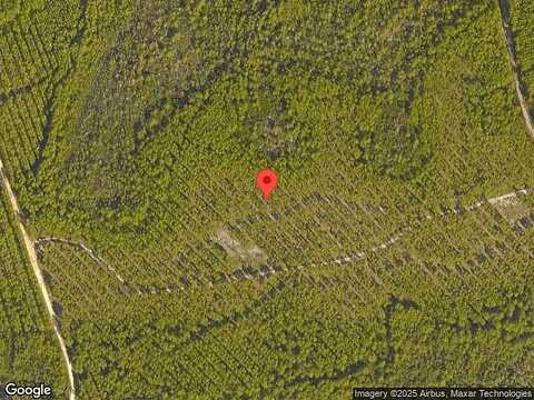 Green Heron St Lot 42, Inlet Beach, FL 32461