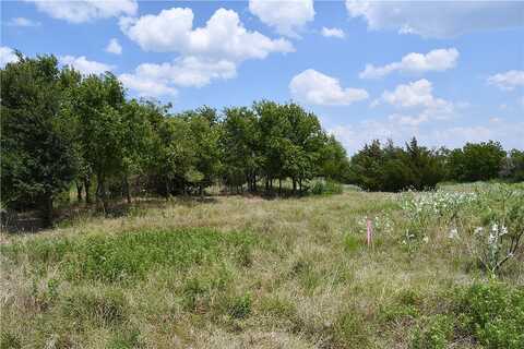 Lot 8 Hcr 3363, Mount Calm, TX 76673