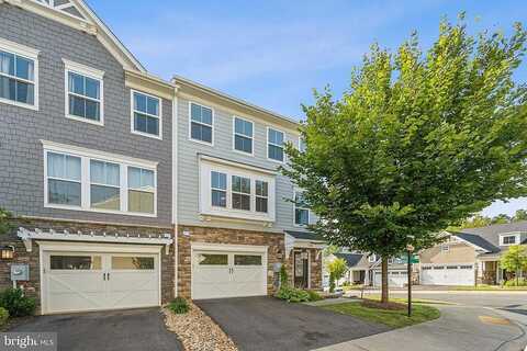 Bergen, CHARLOTTESVILLE, VA 22902