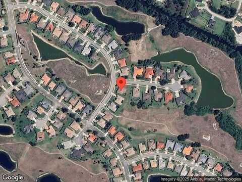 Queen Palm, NORTH PORT, FL 34288