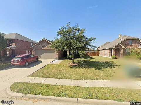 Indian Paintbrush, FATE, TX 75087