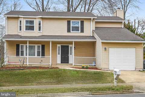 Steven Martin, FAIRFAX, VA 22031