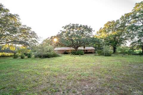 Pine Blossom, MILTON, FL 32570