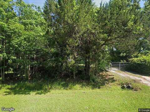 Harrietts Bluff, WOODBINE, GA 31569