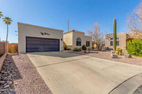 Renard, TUCSON, AZ 85737