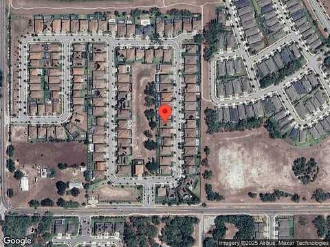 Hawks Fern, RIVERVIEW, FL 33569