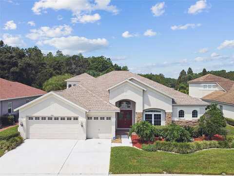 Silver Charm, WESLEY CHAPEL, FL 33544