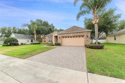 Debut, WINTER GARDEN, FL 34787
