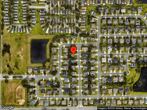 Debut, WINTER GARDEN, FL 34787