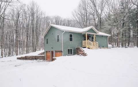 Pine Creek, NEILLSVILLE, WI 54456
