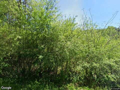 Monroe Green, TRION, GA 30753