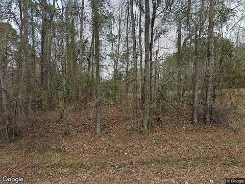 Deepstep, SANDERSVILLE, GA 31082