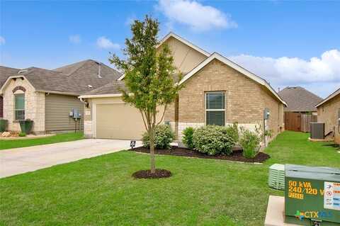 Hillsong, NEW BRAUNFELS, TX 78132