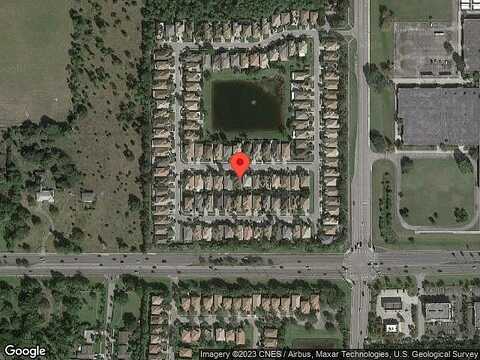 Coontie, LAKE WORTH, FL 33462
