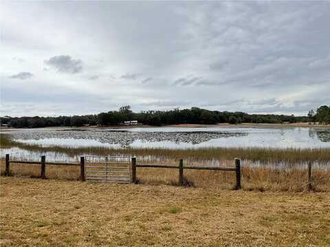 Swan Lake, MELROSE, FL 32666