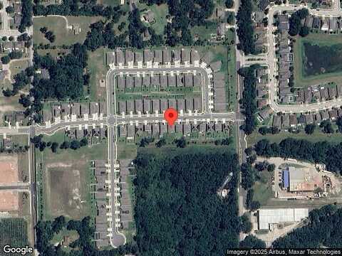River Otter, DELAND, FL 32720