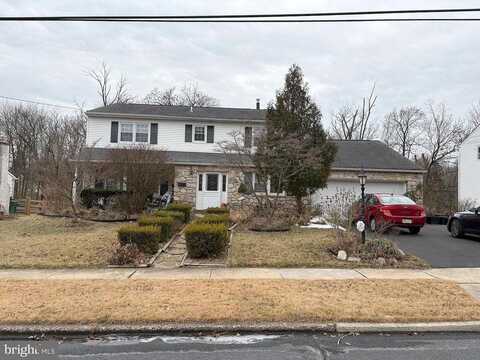 David, ABINGTON, PA 19001