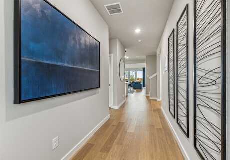 Twin View Vista, LAVON, TX 75166