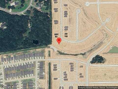 Curly Maple, NEW CANEY, TX 77357