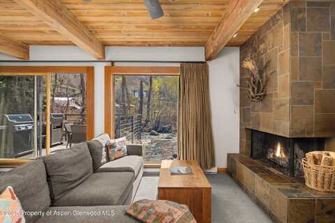 1039 E Cooper Avenue, Aspen, CO 81611