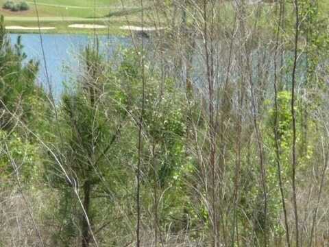105 Sea Grass Lane, Aiken, SC 29803