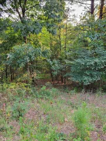 Lot 7 Scotsdale DR, Bella Vista, AR 72715