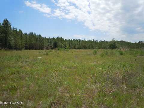 2231 Barts Road, Loris, SC 29569