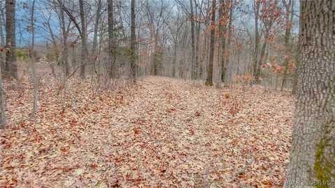 Tract 9 Vaughan Road, Eldon, MO 65026