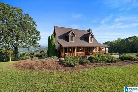 428 EAGLE RIDGE ROAD, ONEONTA, AL 35121