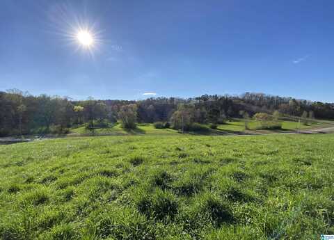 6423 HIGHWAY 174, SPRINGVILLE, AL 35146