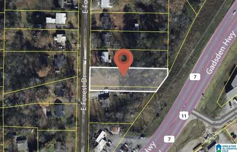 413 E FOREST DRIVE, IRONDALE, AL 35235