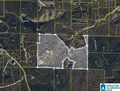0 STATION ROAD 32, COTTONDALE, AL 35453