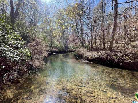 8801 SUMPTER ROAD, ADGER, AL 35006