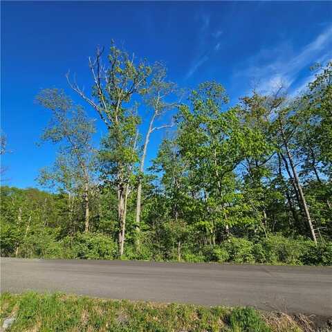 842 Larchmont Road, Elmira, NY 14905