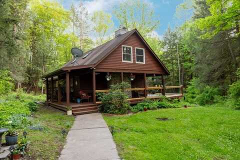2084 W Danby Road, Danby, NY 14867