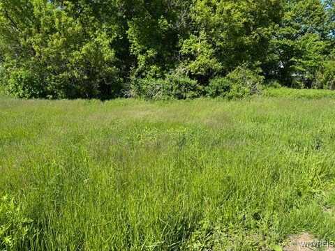 7121 Gowanda State Road, Eden, NY 14075