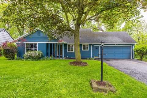 85 Fieldston, Brighton, NY 14610