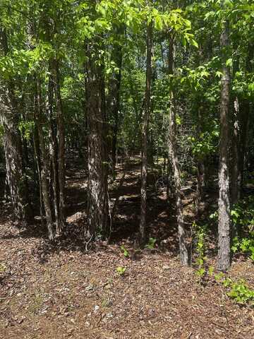 1 Andorra Circle, Hot Springs Village, AR 71909
