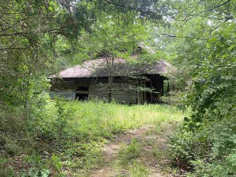 TBD Stevenson Road, Pencil Bluff, AR 71965