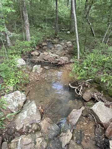 0 Red River Road, Marshall, AR 72650