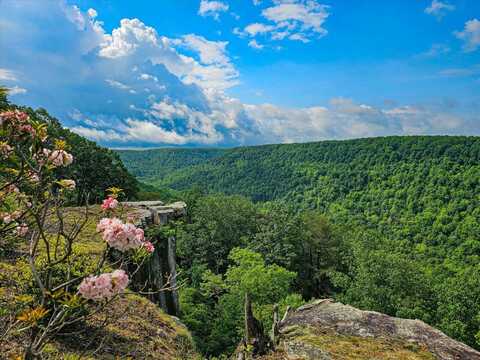 110 Falls Lane, Spencer, TN 38585