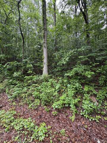 0 Highway 27, Whitwell, TN 37397