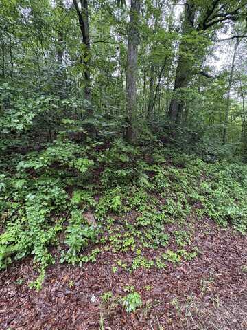 Highway 27, Whitwell, TN 37397