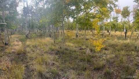 386 Hereford Drive, Hartsel, CO 80449
