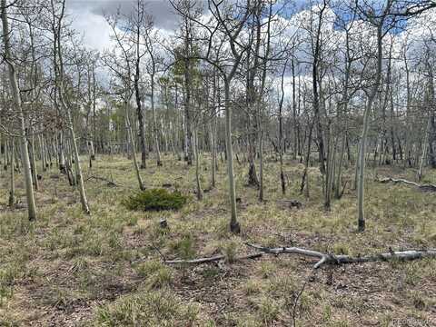 386 Hereford Drive, Hartsel, CO 80449