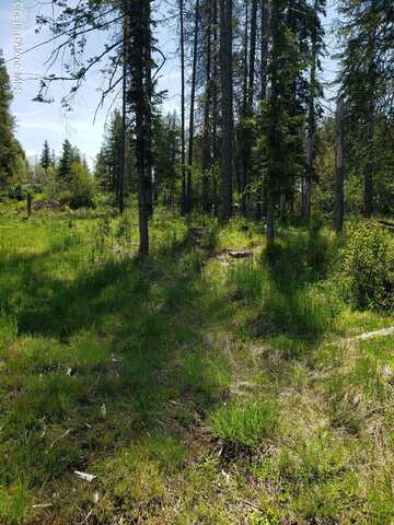 313 Sunset St, Fernwood, ID 83830