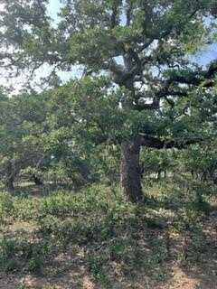 0 Jerald Rd, Fredericksburg, TX 78624